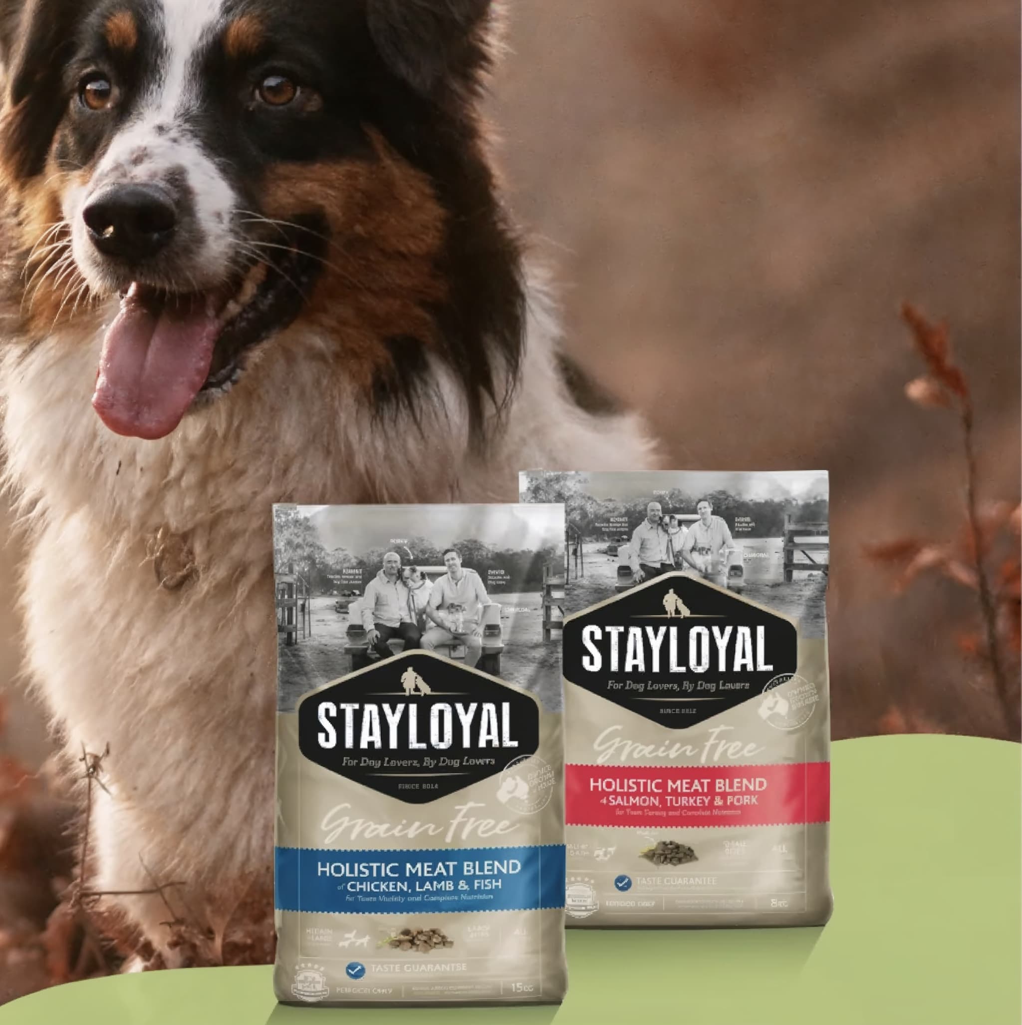 Stay Loyal Breaks $50k Monthly Ad Spend with UGC Factory's Strategy